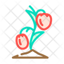Tomato Seedling Icon