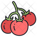 Tomatoes Farming Vegetable Icon