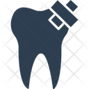 Tooth Molar Dental Care Icon