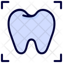 Domography Tooth Xray Icon