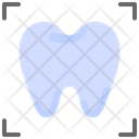 Domography Tooth Xray Icon