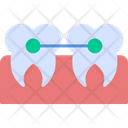 Tooth Bacteria Icon