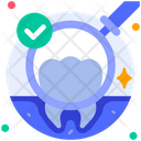 Tooth Check Checkup Inspection Icon