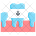 Dental Dentistry Cover Icon