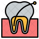 Tooth Root Icon