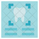Dental Care Dentist Tooth X Ray Icon
