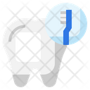Toothbrush Dental Care Clean Icon