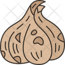 Torshi  Icon