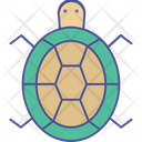 Tortoise Icon
