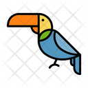 Toucan Bird Sea Bird Icon
