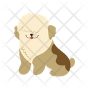 Toy Poodle Dog Icon