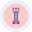 Trachea Icon