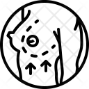 Trans Axial Surgery Icon