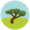 Tree Greenery Icon