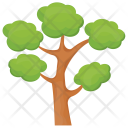 Hangman Elm Evergreen Icon