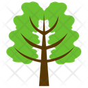 Tree Icon