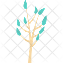 Tree Twig Tree Branch Icon