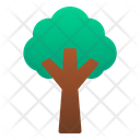 Tree Plant Spring Icon