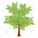 Fruit Tree Wild Tree Shrub Icon