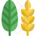 Leaf Paddy Icon
