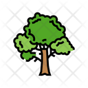 Tree Forest Jungle Icon