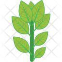 Tree Branch Icon
