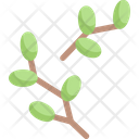 Tree buds bloom Icon