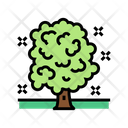 Tree Care Icon