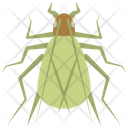 Tree Cricket Icon