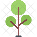 Tree Icon