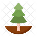 Tree Evergreen Christmas Tree Tress Icon