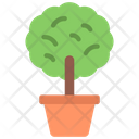 Tree Plant Icon