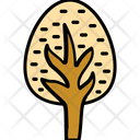 Tree Tree Icon