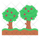 Trees Icon