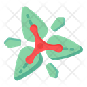 Trillium Flower Icon