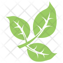 Tripartite Leaf Icon