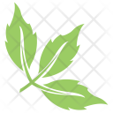 Tripartite Leaf Icon