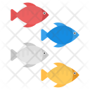 Tropical Fishes Icon