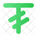 Tugrik Rupee Money Icon