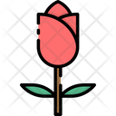 Tulip Flower Plant Icon