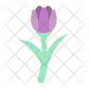 Tulip Flower Bottanical Icon