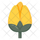Flower Tulip Natural Flower Icon