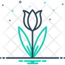 Tulip Spring Blooming Bunch Icon
