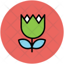 Tulip Flower Creative Icon