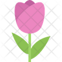 Tulip Flower Nature Icon