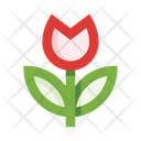 Nature Flower Tulip Icon