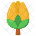 Tulip Flower Icon