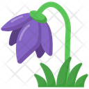 Tulip Flower Icon