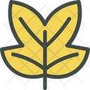 Tulipifera Icon