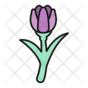 Tulip Flower Botanical Icon